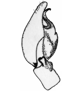 speciesimage