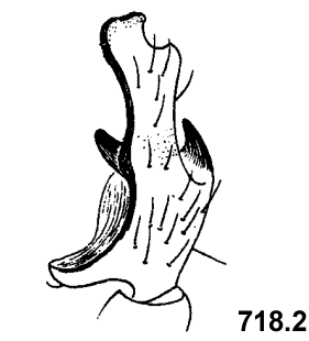speciesimage