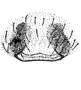 speciesimage