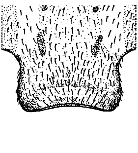 speciesimage