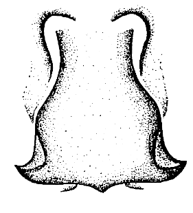 speciesimage