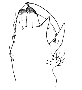 speciesimage