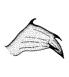 speciesimage