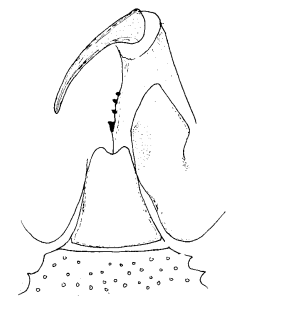 speciesimage