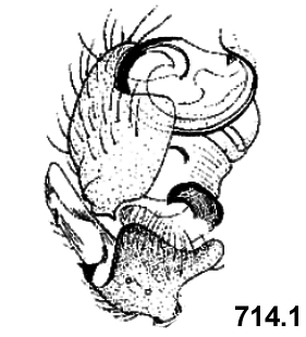 speciesimage