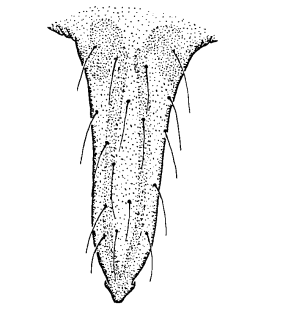 species