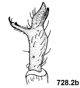 speciesimage