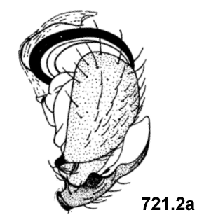 speciesimage