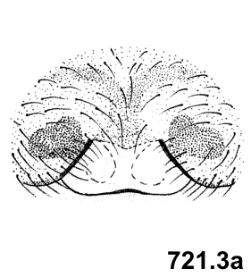 speciesimage