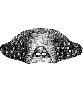 species