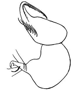 speciesimage