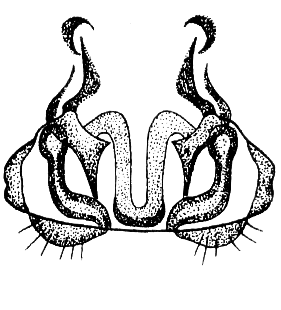 speciesimage