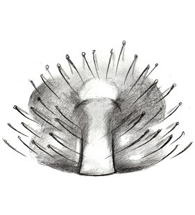 speciesimage