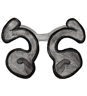 speciesimage