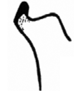 speciesimage