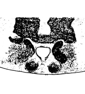 speciesimage
