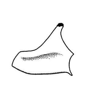 speciesimage