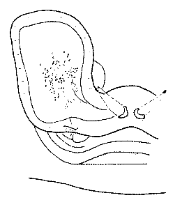 speciesimage
