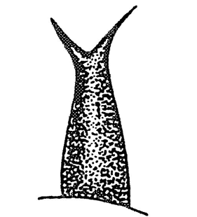 speciesimage