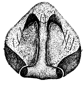 speciesimage