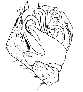 speciesimage